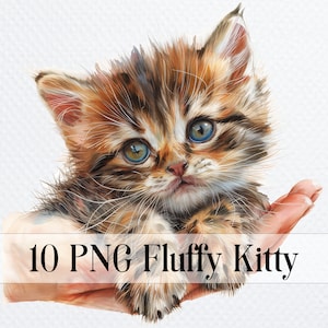 10 Fluffy Kitten in Hand PNG Clipart, Cute kitty Cat for sublimation, Printable Watercolor Cat clipart, Paper craft, junk journals