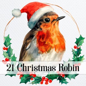 21 Pacote de PNG de Robin de Natal com Chapéu, clipart de aquarela para impressão de inverno para sublimação, download digital, artesanato em papel, diários de lixo