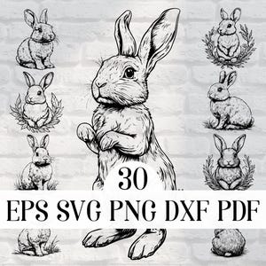 Lot de 14 lapins vectoriels mignon fichier SVG lapin Lapin de Pâques PNG pour sublimation, Cricut, lapins découpé au laser fichier pour gravure, impressions