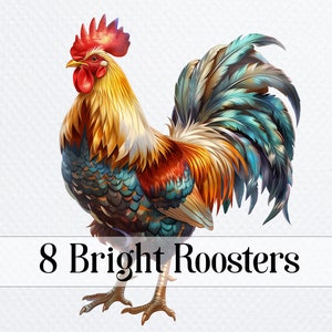 8 Clipart coq, lot de PNG coq, clipart Western, animal de la ferme PNG, art numérique pour sublimation, clipart chambre d'enfant, téléchargement numérique