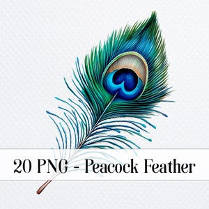 20 Peacock Feather Bundle, Gorgeous Peacock Printable Watercolor PNG Digital Clipart for sublimation, Paper craft, junk journals