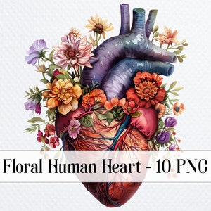 10 clipart PNG cuore umano floreale, clipart cuore anatomico acquerello stampabile per sublimazione, download digitale, artigianato di carta, diari