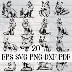 Vector 20 Fox Design Bundle Forest Fox PNG voor Sublimatie Fox SVG-bestand voor cricut, Wild Fox Laser Cut-bestand voor gravure, Prints kunst aan de muur