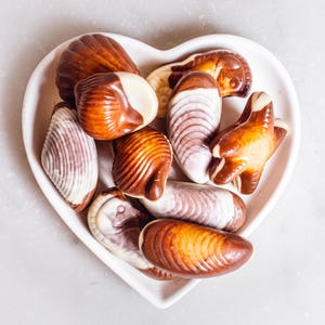 May include: A white heart-shaped dish filled with chocolate seashells and starfish. The chocolates are a mix of white and brown.