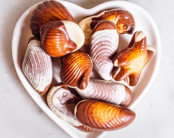 Chocolate Seashells