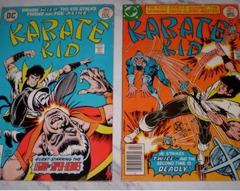Karate Kid Lot #6 through #15 a 10 DC Comics Lot 1976-1978 Legion of Super-Heroes Bronze age Comic Book Lot