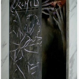 May include: The cover of a "Black Orchid" comic book. The left side has a dark, textured background with white line art of a flower and a figure. The right side shows a shadowy figure with visible eyes and hands. The title is in white.