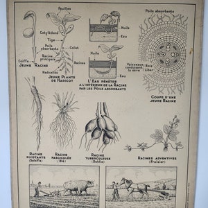 Poster, mappa vecchia scuola A. HATIER 19 e 19 bis.