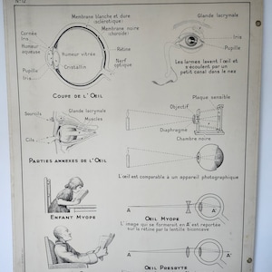 Affiche pédagogique A. HATIER 12 et 12 bis.