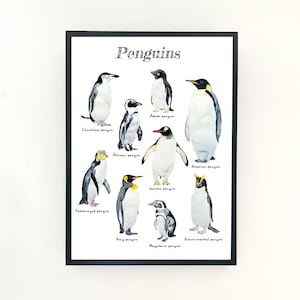 Pinguine Kinderzimmer Kinderzimmer Poster