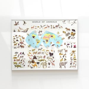 May include: A framed educational poster titled "WORLD OF ANIMALS" featuring a world map with illustrations of various animals. The map is in shades of blue, green, and yellow, with numerous animal illustrations surrounding it.