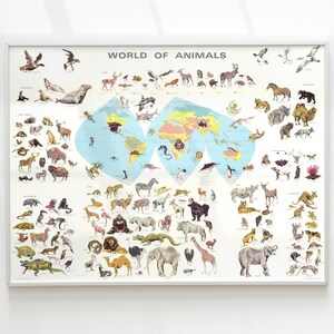 Affiche vintage du monde des animaux, bel art ancien du royaume des animaux, cadeau de biologie rare et intéressant, carte du monde des animaux, impression encadrée rétro