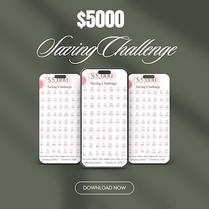 5,000 Savings Challenge Tracker | Printable Money Savings Chart | Financial Goal Planner | Budget & Savings Digital Download