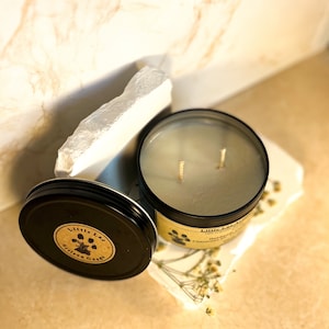 Colorado Blue Spruce Candle