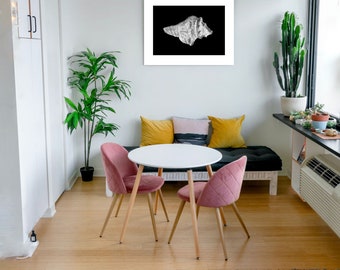 Giclée Print of a Sea Shell