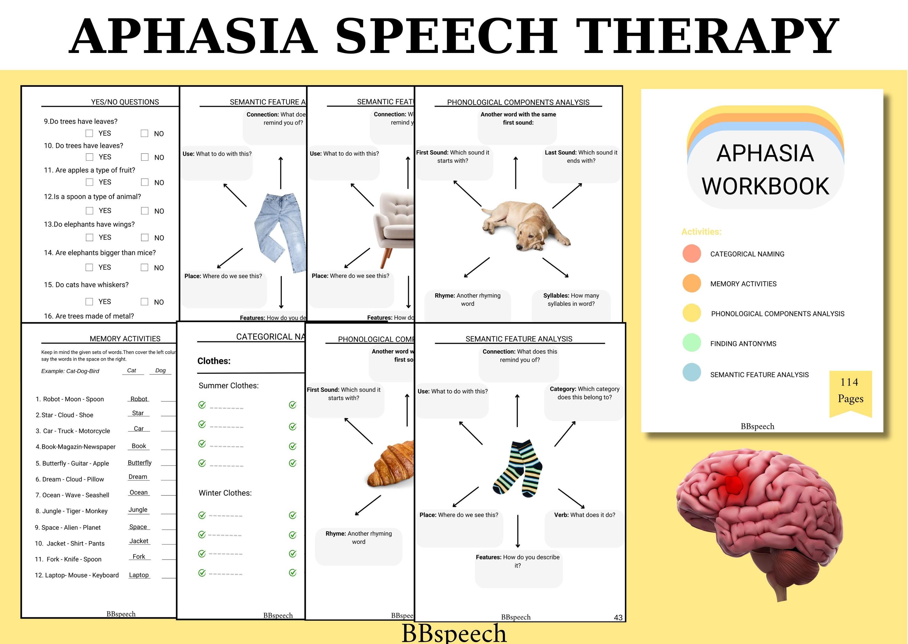 Aphasia Types What Is Aphasia, Brain Disorder That Bruce Willis Is