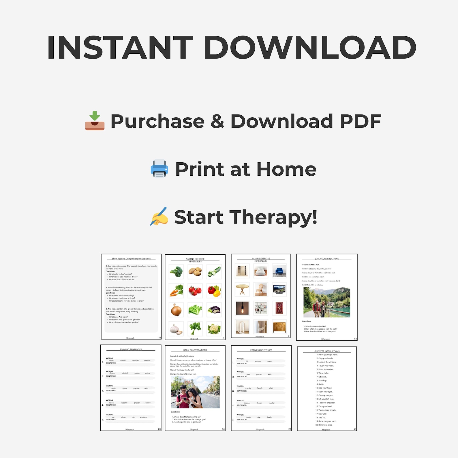 Aphasia Therapy Workbook: Functional Language Activities for Adults ...
