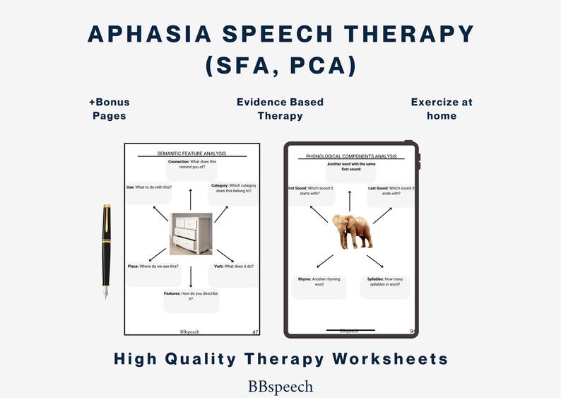 Aphasia Speech Therapy E-book: Language & Memory Exercises (digital ...