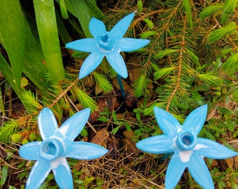 Blue Daffodil, Porcelain Clay, Weathered Blue Glaze, Handmade, Pretty among Conifers & Ferns