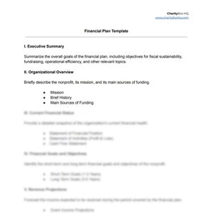 Nonprofit Financial Plan Template and Example Etsy