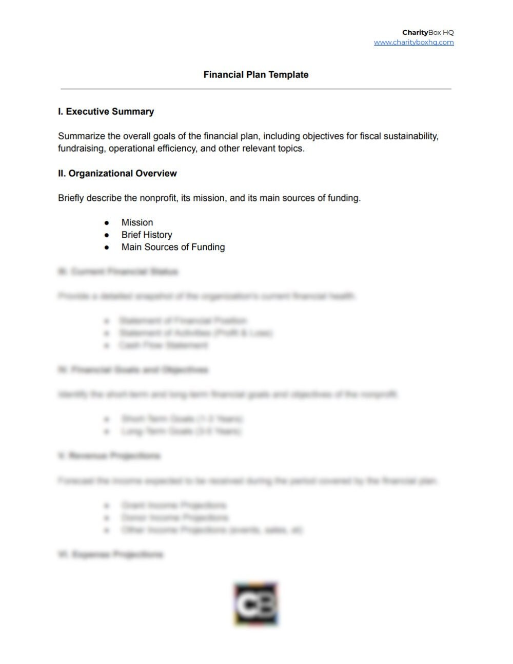 Nonprofit Financial Plan Template and Example Etsy Nonprofit Financial Plan Template and Example Etsy