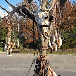 Deer Skull Staff/spiritual Totem - Etsy