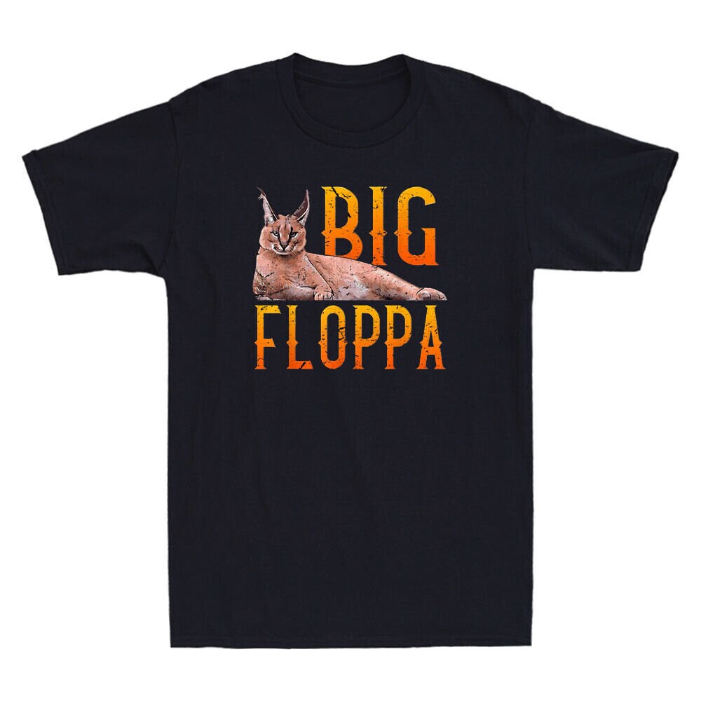 Floppa dissapear :( : r/Floppa