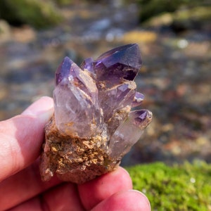 May include: A cluster of amethyst crystals in various shades of purple and clear, attached to a rough, brown rock.