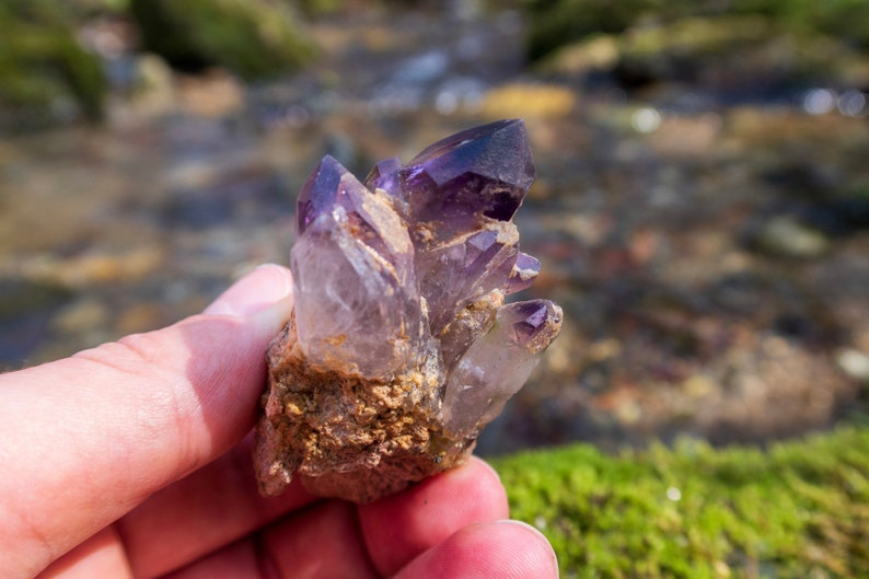 May include: A cluster of amethyst crystals in various shades of purple and clear, attached to a rough, brown rock.