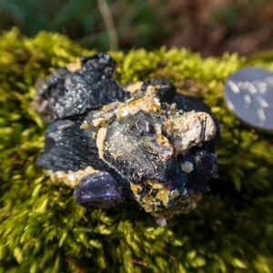 May include: A cluster of dark purple amethyst crystals with a black, metallic sheen. The crystals are surrounded by a light yellow, granular mineral. The cluster is sitting on a bed of green moss.