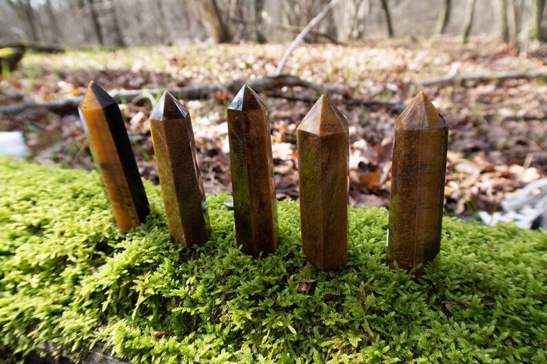 May include: Five brown and gold tiger's eye crystal points are arranged in a row on a bed of green moss. The points are all roughly the same size and shape, and they have a smooth, polished finish.