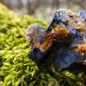 May include: A close-up of a large, purple and gold crystal with a rough, textured surface. The crystal is resting on a bed of green moss.