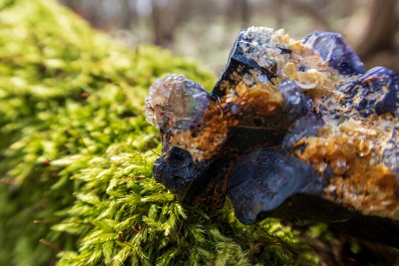 May include: A close-up of a large, purple and gold crystal with a rough, textured surface. The crystal is resting on a bed of green moss.