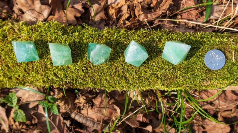 May include: Five green fluorite pyramid crystals arranged in a row on a bed of moss.