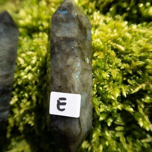 Op de afbeelding: Een donkergrijze labradorit-kristalpunt met een wit label waarop "E" staat. Het kristal ligt op een bed van groen mos.