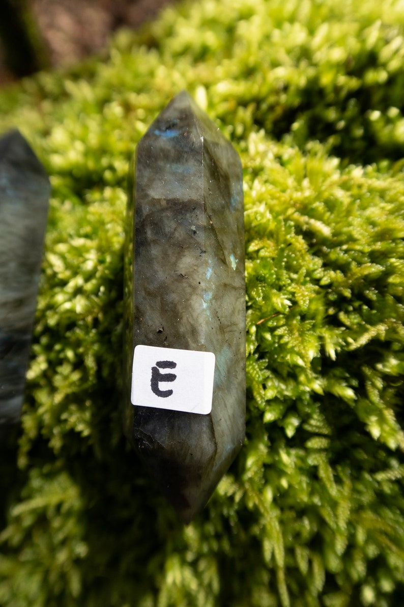Op de afbeelding: Een donkergrijze labradorit-kristalpunt met een wit label waarop "E" staat. Het kristal ligt op een bed van groen mos.