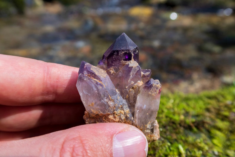 May include: A cluster of amethyst crystals with a purple hue. The crystals are pointed and have a natural, rough texture.
