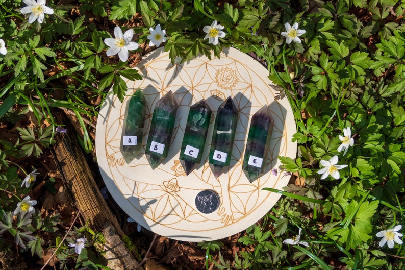 May include: Five green and purple fluorite points arranged in a row on a wooden circle with a flower of life design. The points are labeled A through E.