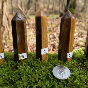 May include: Five brown and gold tiger's eye crystal points, labeled A through E, are arranged on a bed of green moss. A silver coin with a design of a bird is in the center of the image.