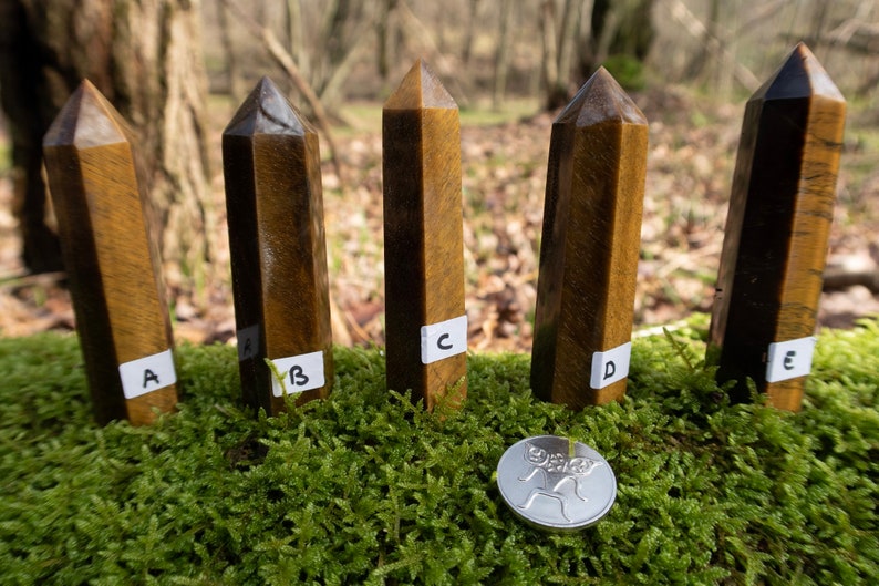 May include: Five brown and gold tiger's eye crystal points, labeled A through E, are arranged on a bed of green moss. A silver coin with a design of a bird is in the center of the image.