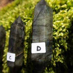 Op de afbeelding: Drie donkergrijze labradorit kristallen punten met labels "C", "D" en een onleesbaar label. De kristallen liggen op een bed van groen mos.