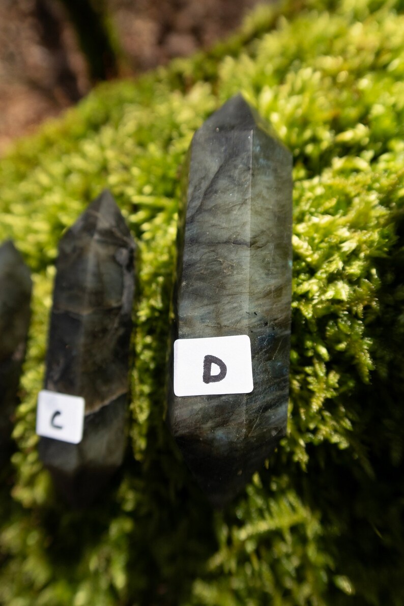 Op de afbeelding: Drie donkergrijze labradorit kristallen punten met labels "C", "D" en een onleesbaar label. De kristallen liggen op een bed van groen mos.