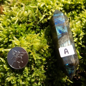 Op de afbeelding: Twee donkerblauwe labradorit-kristalpunten, gelabeld A en B, op een bed van groen mos.