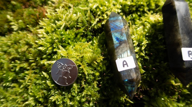 Op de afbeelding: Twee donkerblauwe labradorit-kristalpunten, gelabeld A en B, op een bed van groen mos.