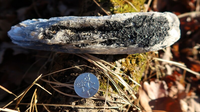 May include: A close-up of a blue and black crystal with a silver coin featuring a floral design in the foreground.