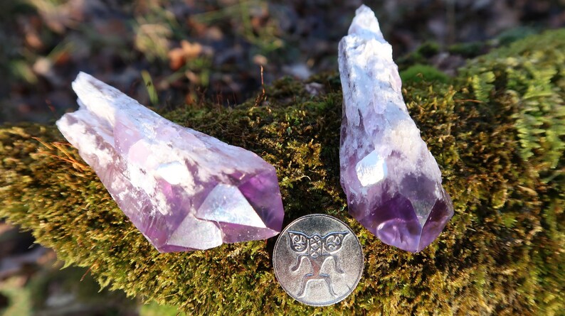 Puede incluir: Dos puntas de cristal de amatista con un degradado de color p&uacute;rpura y blanco. Los cristales est&aacute;n sobre un lecho de musgo con una moneda de plata que presenta un dise&ntilde;o de mariposa en primer plano.