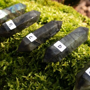 Op de afbeelding: Vijf labradorit-kristalpunten, gelabeld van A tot en met E, zijn in een rij op een bed van groen mos gerangschikt. De kristallen zijn donkergrijs van kleur met iriserende flitsen van blauw en groen.