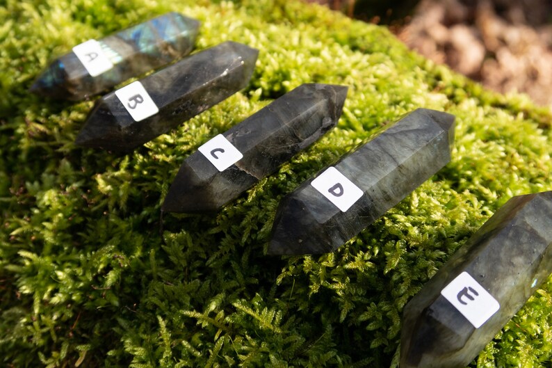 Op de afbeelding: Vijf labradorit-kristalpunten, gelabeld van A tot en met E, zijn in een rij op een bed van groen mos gerangschikt. De kristallen zijn donkergrijs van kleur met iriserende flitsen van blauw en groen.