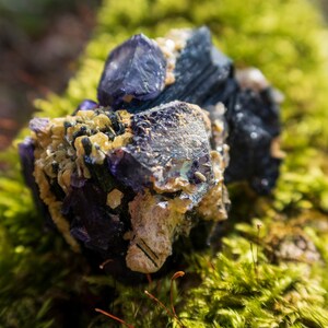 May include: A cluster of purple, black, and white crystals on a bed of green moss. The crystals have a rough, natural texture.