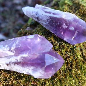Puede incluir: Dos cristales de amatista, uno m&aacute;s grande que el otro, descansan sobre un lecho de musgo verde. Los cristales son de color p&uacute;rpura intenso y tienen una apariencia clara y vidriosa.